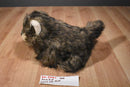 K & M Brown Wolf Cub 2006 Beanbag Plush With Blue Eyes