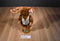 Ty Attic Treasures Montgomery Moose Five Way Jointed 1993 Beanbag Plush