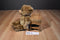 Kid Power Maurice Sendak Little Bear 1999 Plush
