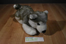 Build a Bear Gray and White Husky Beanbag Plush With Red Collar