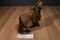 Only Hearts Club Coco the Brown Bay Horse Plush