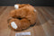Commonwealth Dayton-Hudson Dexter Dog 1995 Plush