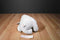 Disney Snowflake Pals White and Silver Pooh Plush