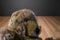 24K Polar Puff Special Effects Brown Bear 1988 Plush