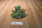 Ganz Webkinz Green and Yellow Frog HM001 Sealed Code Beanbag Plush
