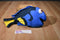 Disney Pixar Finding Dory the Blue Tang Fish 2016 Plush