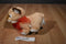 Fiesta Lion Cub Plush With Red Heart and Bow