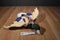 Adore Mallard Drake Duck With Bendable Wings Plush Wall Hanging