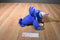 Toy Factory Pokemon Popplio Blue Seal 2019 Plush