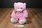 Ty Classic Sweet Baby Pink Bear My First Teddy 2014 Beanbag Plush