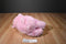 Ty Classic Sweet Baby Pink Bear My First Teddy 2014 Beanbag Plush
