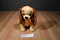 Kohl's Cares Disney Lady 2014 Plush