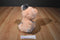 Aurora Dreamy Eyes Pickles the Pink and Grey Pig Beanbag Plush