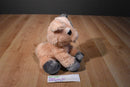 Aurora Dreamy Eyes Pickles the Pink and Grey Pig Beanbag Plush