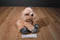 Aurora Dreamy Eyes Pickles the Pink and Grey Pig Beanbag Plush