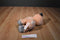Aurora Dreamy Eyes Pickles the Pink and Grey Pig Beanbag Plush