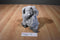 First Impressions Fluffy Grey Elephant Macy's 2018 Beanbag Plush