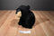 Douglas Boulder the Black Bear Beanbag Plush