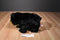 Douglas Boulder the Black Bear Beanbag Plush