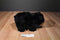 Douglas Boulder the Black Bear Beanbag Plush