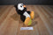 Aurora Taddle Toes Winks the Great Horned Owl Beanbag Plush