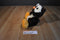 Aurora Taddle Toes Winks the Great Horned Owl Beanbag Plush