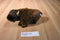Stuffed Animal House Bison Buffalo 2016 Plush
