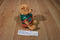 Disney Store Japan Family Pooh Beanbag Plush in a Kimono