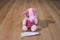 Disney World Piglet Beanbag Plush