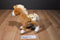Douglas Freckles the Golden Appaloosa Horse Pony Foal Plush