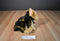 Ganz Webkinz Signature Yorkie WKS1014 Beanbag Plush (No Code)