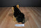 Ganz Webkinz Signature Yorkie WKS1014 Beanbag Plush (No Code)