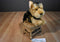 Ganz Webkinz Signature Yorkie WKS1014 Beanbag Plush (No Code)