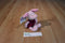 Disney Store Piglet Beanbag Plush