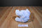 Aurora Baby Blue Teddy Bear Plush