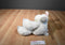 Animal Adventure Beige/Grey Lamb 2017 Plush