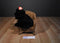 Ty Classic Pepper the Little Black Dog 1996 Beanbag Plush