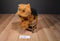Ganz Yorkshire Terrier Beanbag Plush