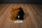 Ganz Yorkshire Terrier Beanbag Plush
