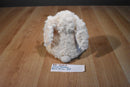 Animal Adventure Becca Beige Bunny Rabbit 2016 Beanbag Plush