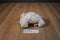 Animal Adventure Becca Beige Bunny Rabbit 2016 Beanbag Plush
