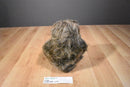 Fiesta Three Toed Sloth Plush