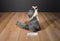 Howling Grey and Beige Wolf Plush with Orange Eyes