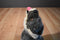 Howling Grey and Beige Wolf Plush with Orange Eyes