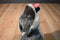 Howling Grey and Beige Wolf Plush with Orange Eyes