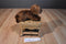 Aurora Miyoni Chocolate Brown Lab Beanbag Plush