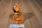 Ty Beanie Babies Cool Cat Garfield 2004 Beanbag Plush