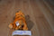 Ty Beanie Babies Cool Cat Garfield 2004 Beanbag Plush