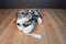 Folkmanis Timber Wolf Puppet Plush