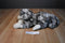 Folkmanis Timber Wolf Puppet Plush